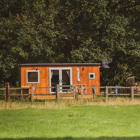 The Hideaway At Hiddenwood Glamping Hotel Corsley Buitenkant foto